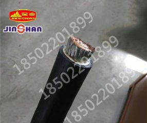 电机引接线JBQ